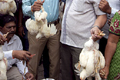 Meat ban can’t be forced down people’s throat: Supreme Court